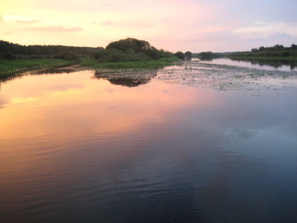 Photograph by Людмила Баглей