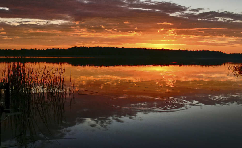 Фотография автора Анатолий Дауров