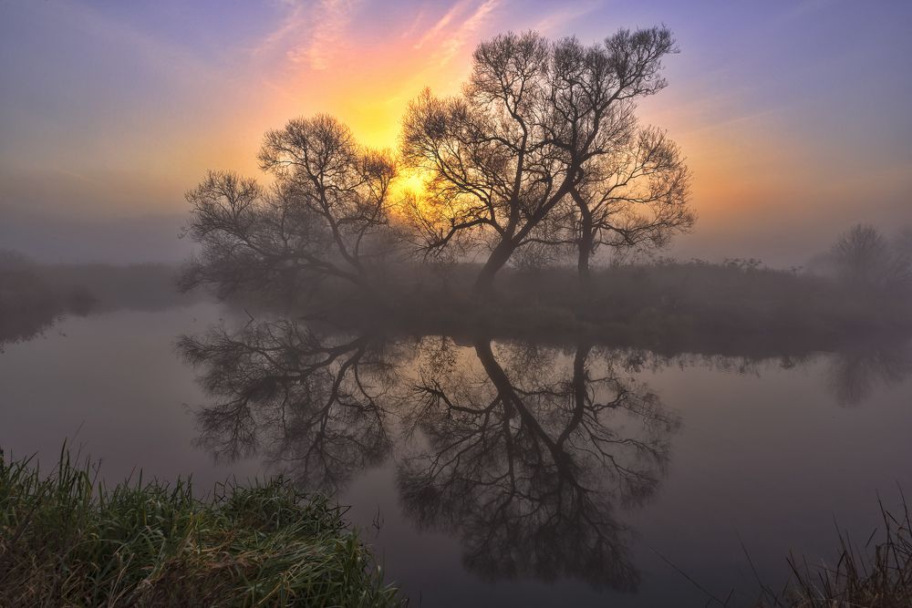 Photograph by Александр Гвоздь