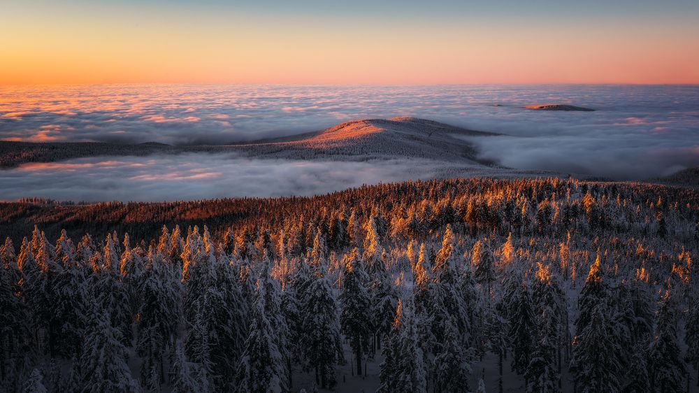 Photograph by Tom Kráčmar