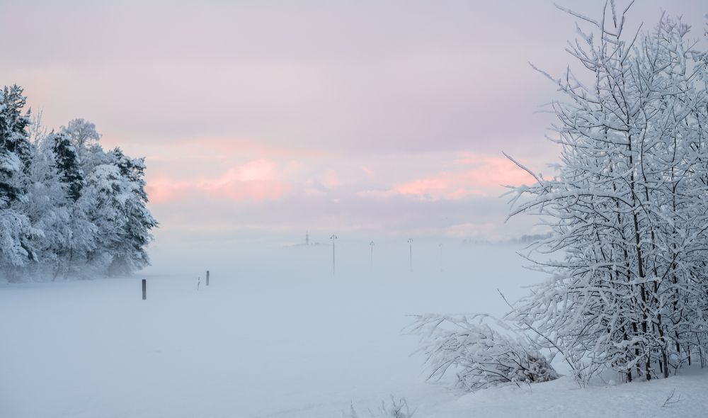 Photograph by Valentina