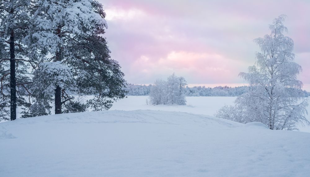 Photograph by Valentina