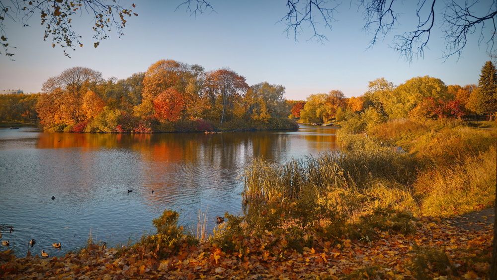 Фотография автора Анатолий Дауров