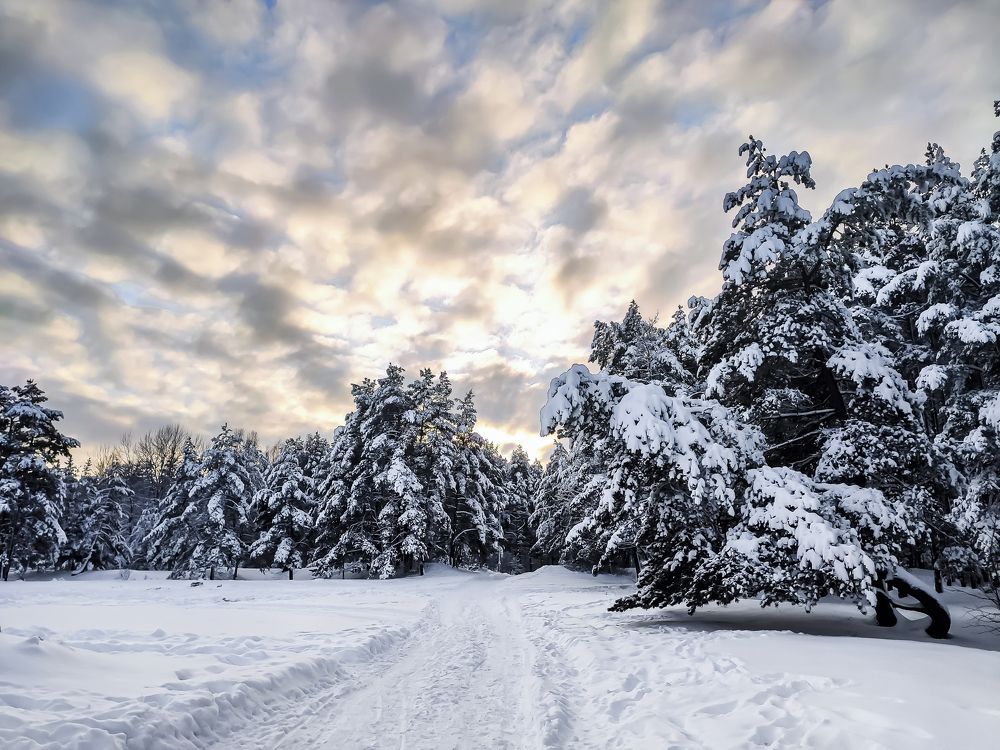 Photograph by Ivars Andrups