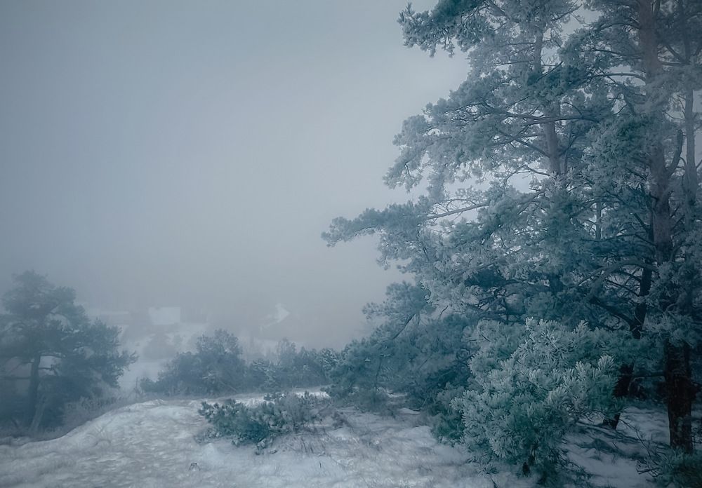 Photograph by Ирина Саакова