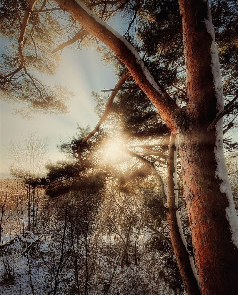 Photograph by Ирина Саакова