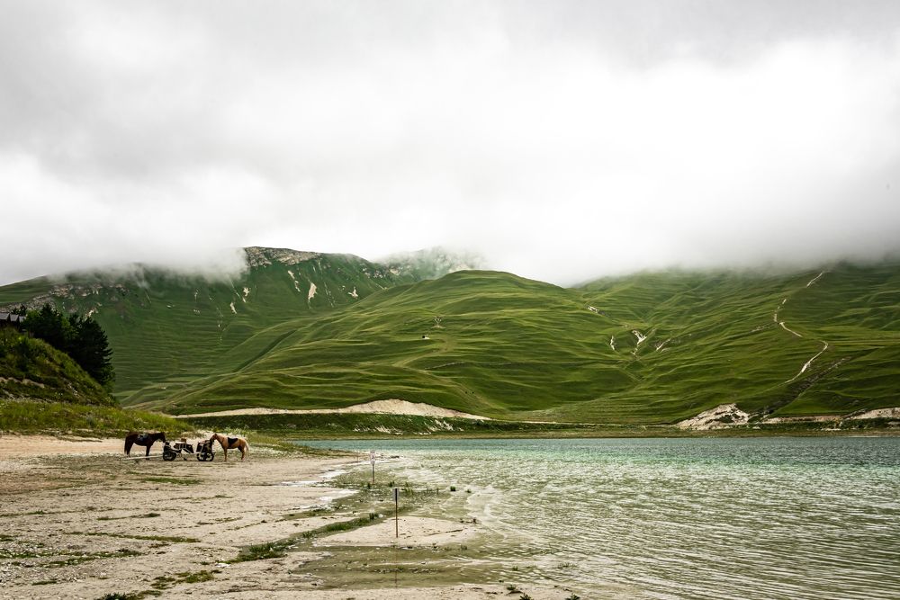 Photograph by Полина Матвеева