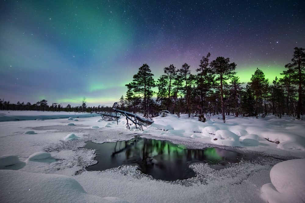 Photograph by Елена Ермолина