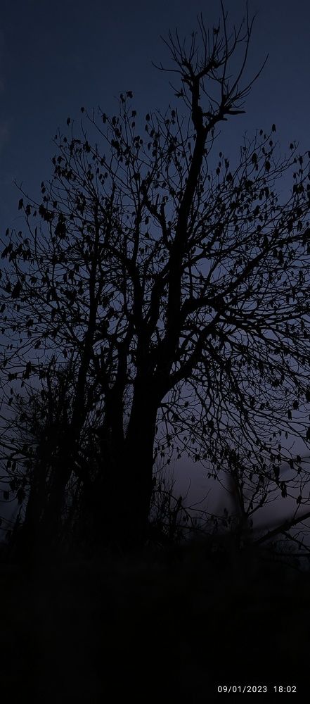 Фотография автора Manzoor Ahmad