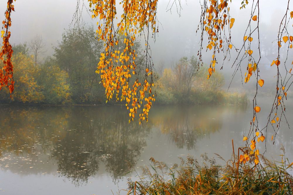 Утро осеннее, озеро сонное...