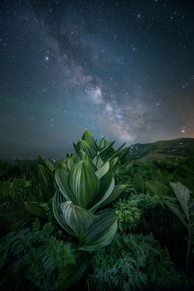 Photograph by Елена Ермолина