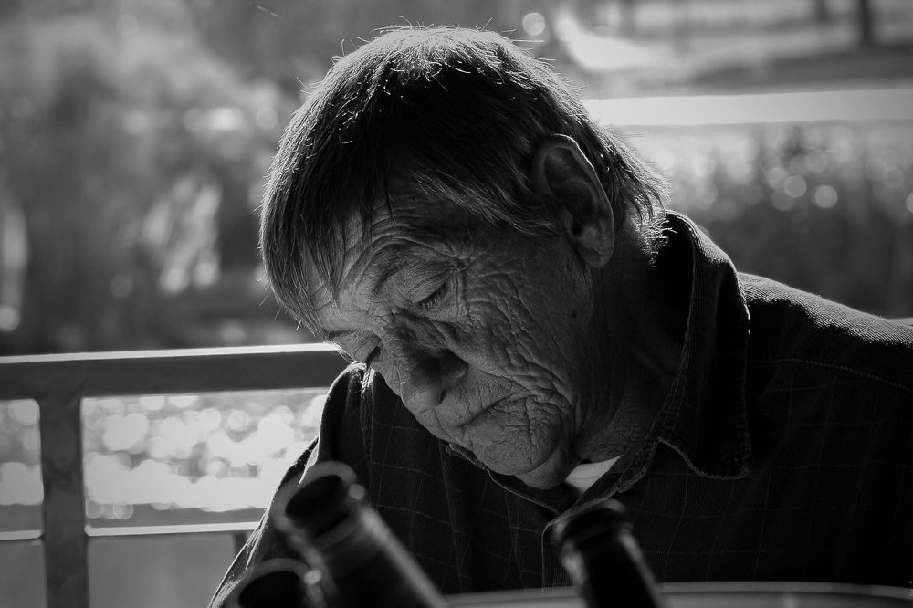 Photograph by Engelbrecht Midge