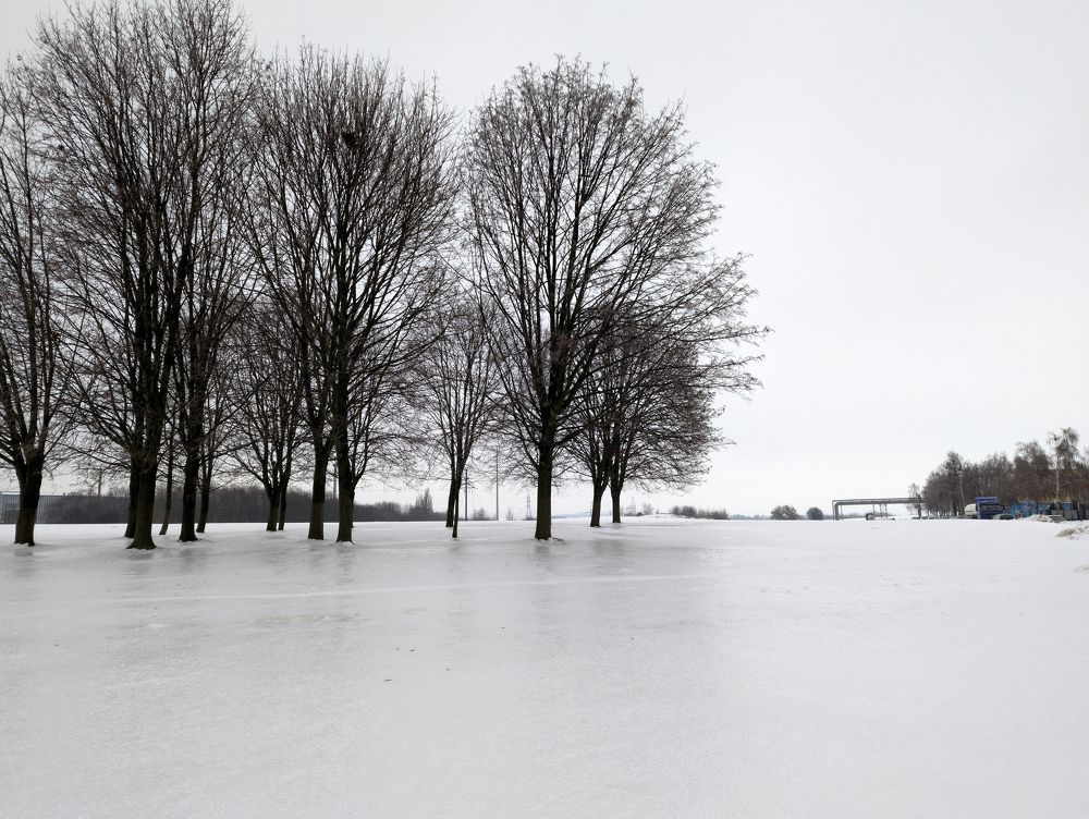 Photograph by Vitaliy