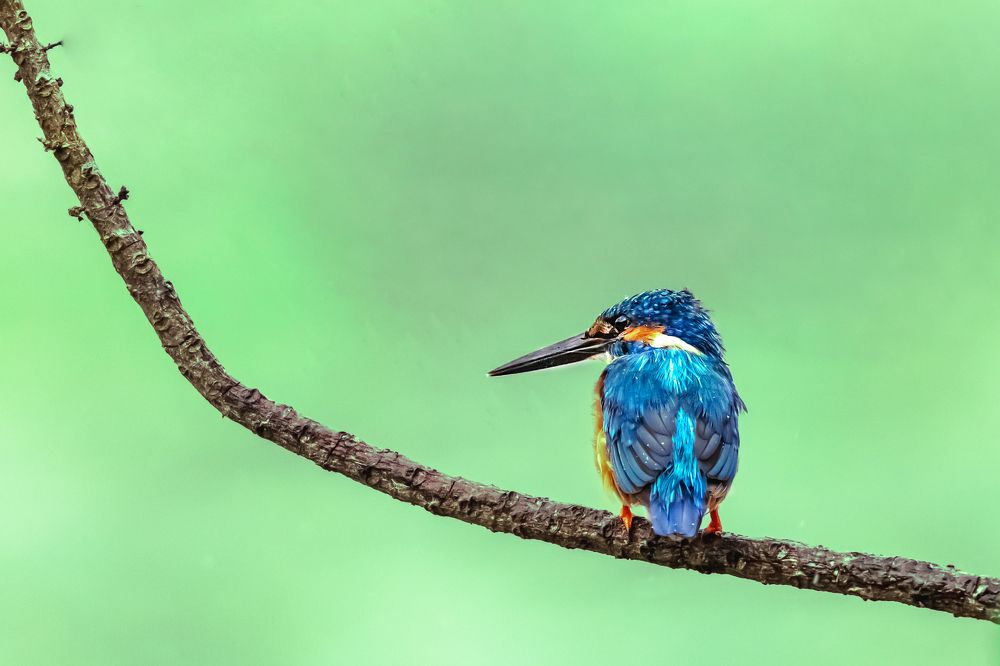 Photograph by Ishara Mewan