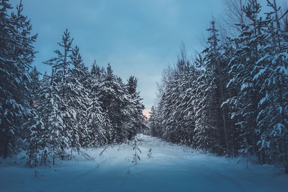 Photograph by Юлия Крюкова