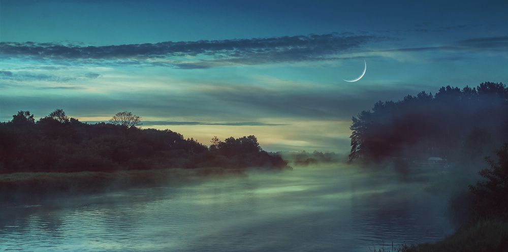 Фотография автора Максим Светличный