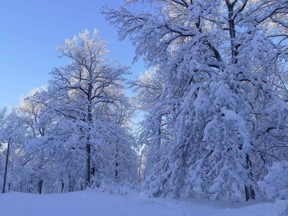 Photograph by Александр Кизим