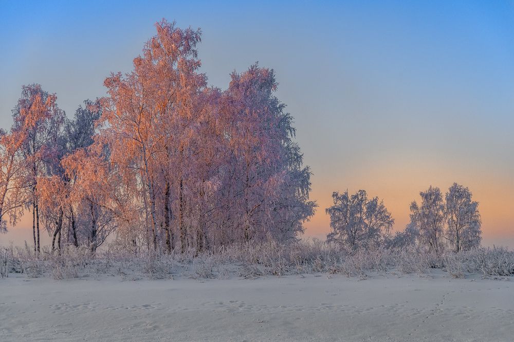 Photograph by Дмитрий Бухтик