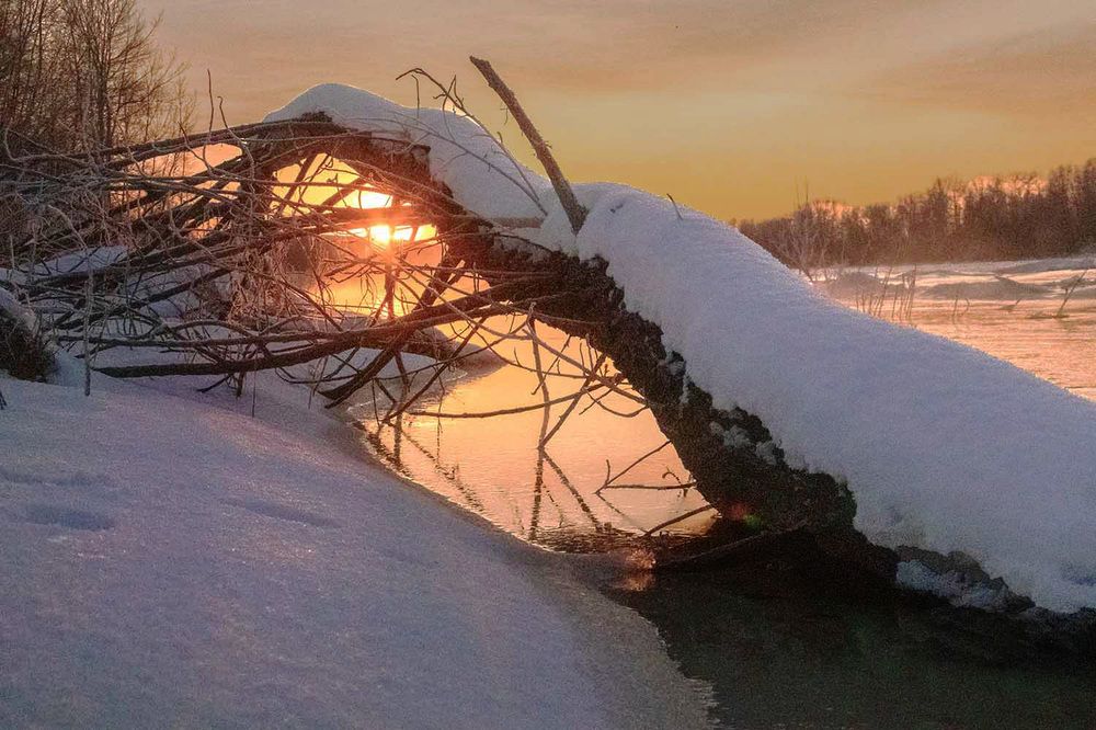 Photograph by миша