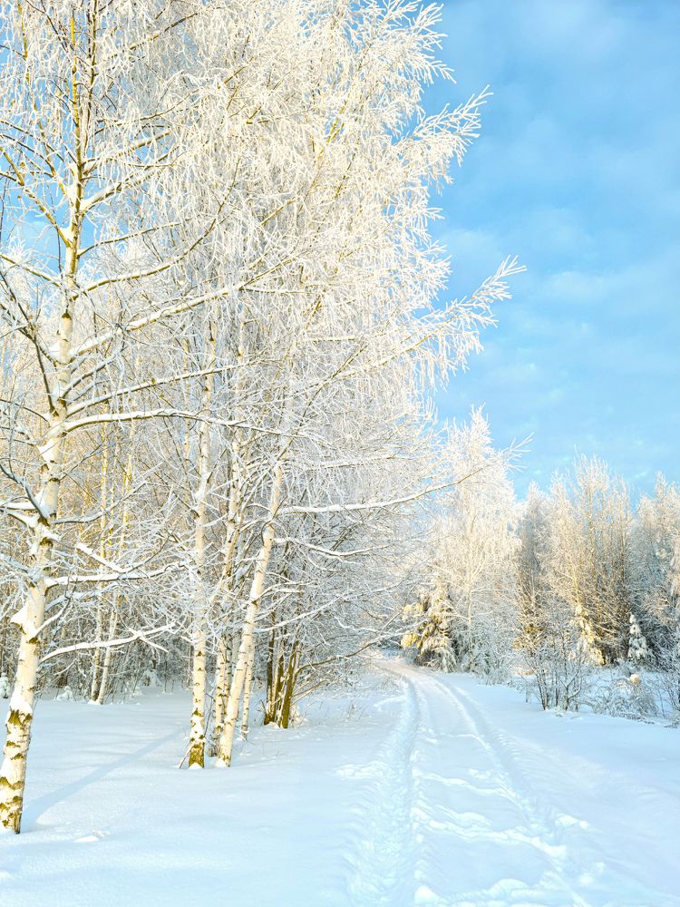 Photograph by Sergey Shubin