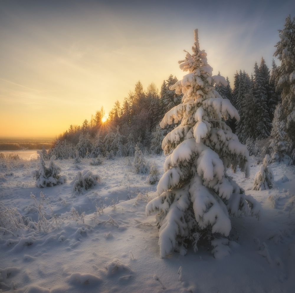 Photograph by  Михаил