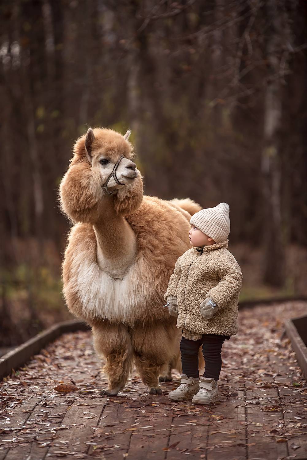 Фотография #8636553