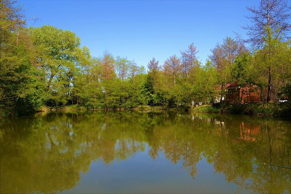 Photograph by Татьяна Рябова