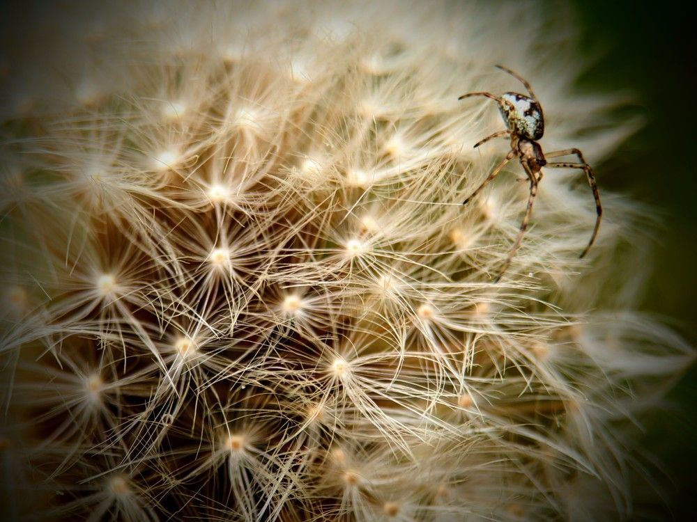 Photograph by Денис Грамович