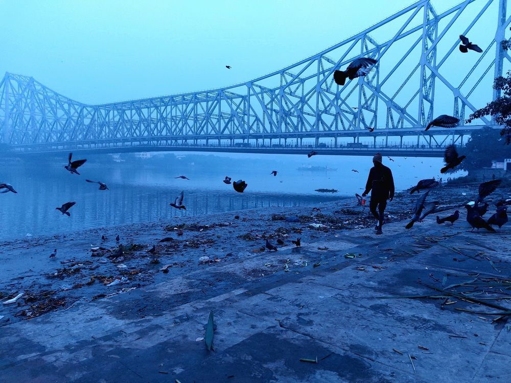 Photo #8636652