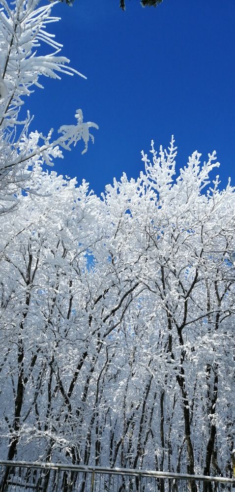 Белая синева