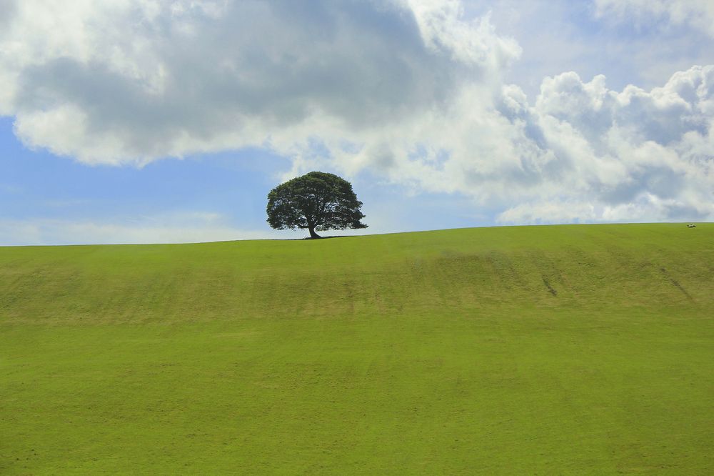 Photograph by Лайко Марина