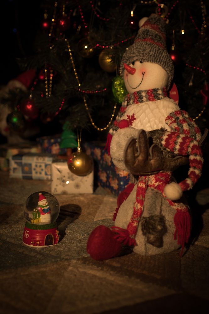 Фотография автора Войнов Дмитрий