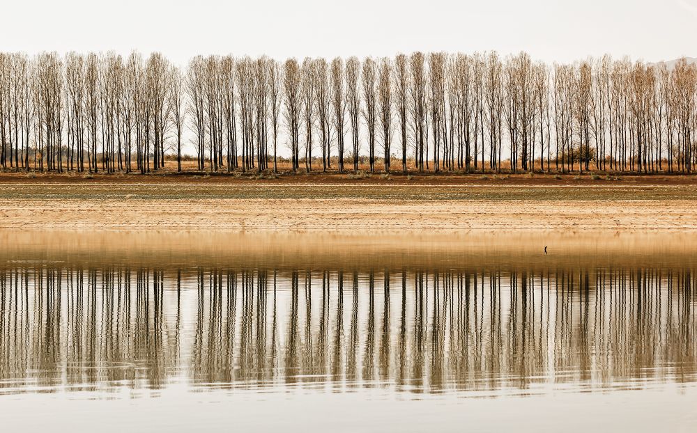 Photograph by Stamen Sotirov