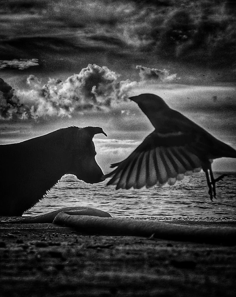 Фотография автора Максим Светличный