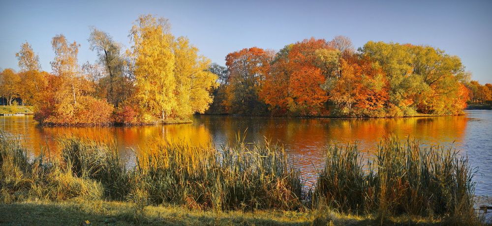 Фотография автора Анатолий Дауров