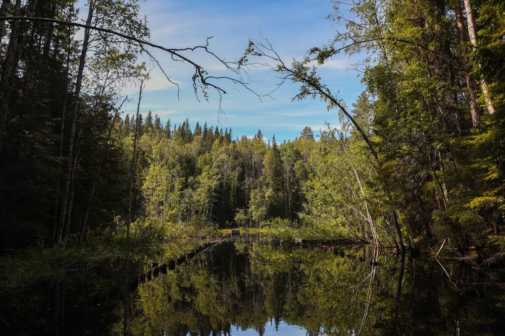 Photograph by Валерия Паули