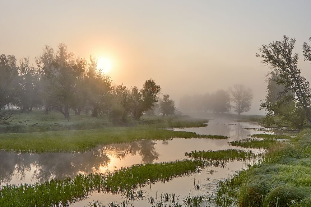 Туманный восход