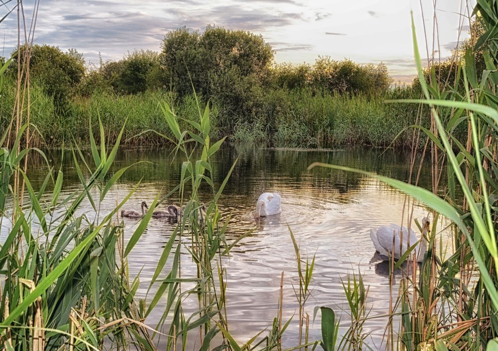 Фотография автора Юлия Кранина