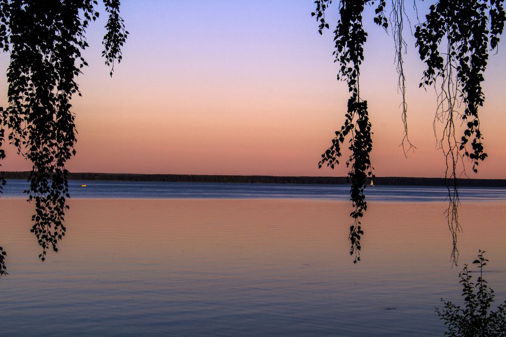 Photograph by Светлана