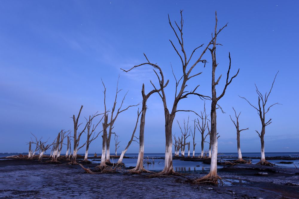 Photograph by SI SABER LOTFI