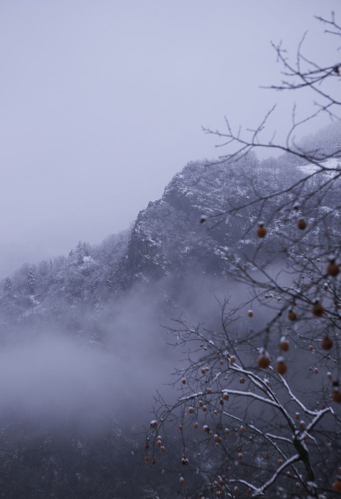 Photograph by paata gogua