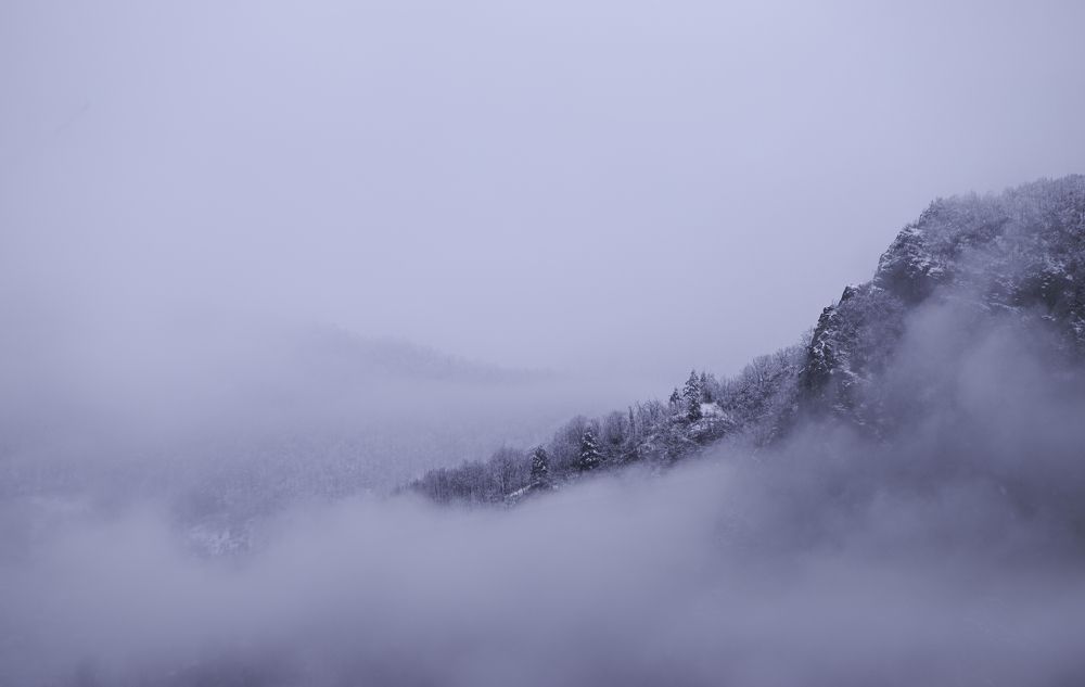 Photograph by paata gogua