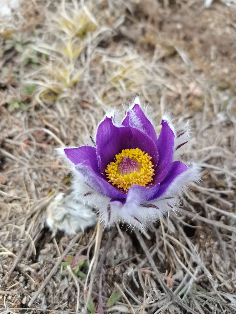 Photograph by Иванова Анна