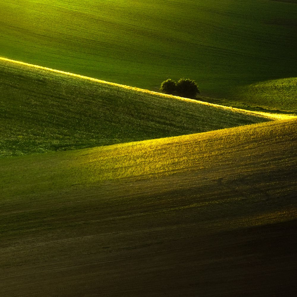 Photograph by David Ilkovic