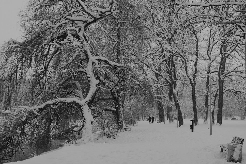 Photograph by Нина Михеева