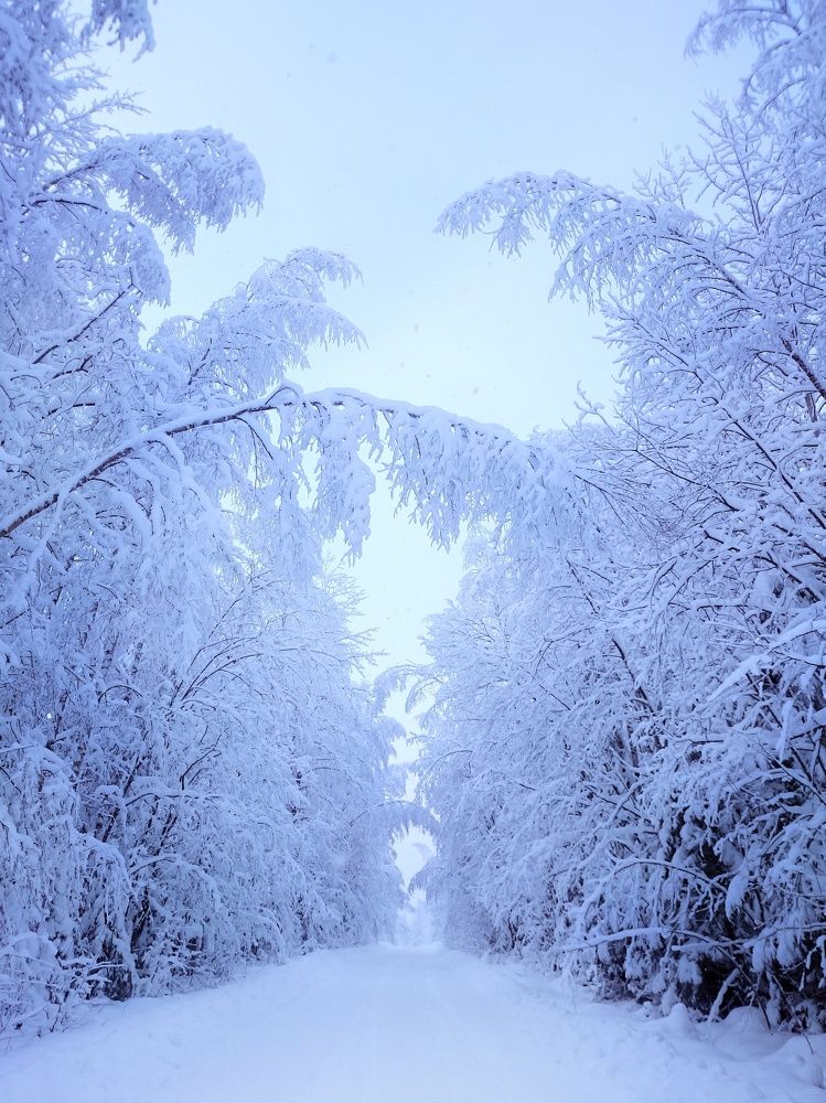 Photograph by Вячеслав Ригачин