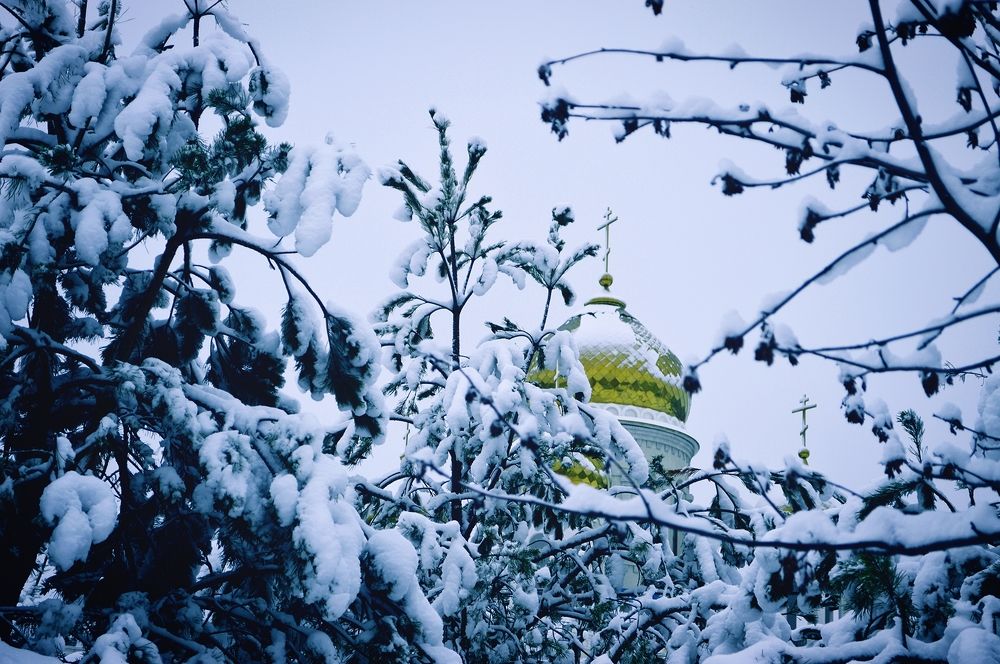 Photograph by Александр Лабутин