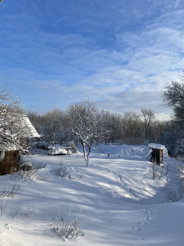 Photograph by Алина Морозова