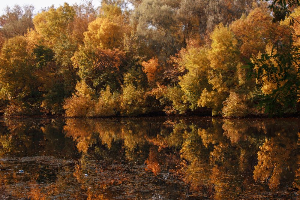 Photograph by Нелли Золотая