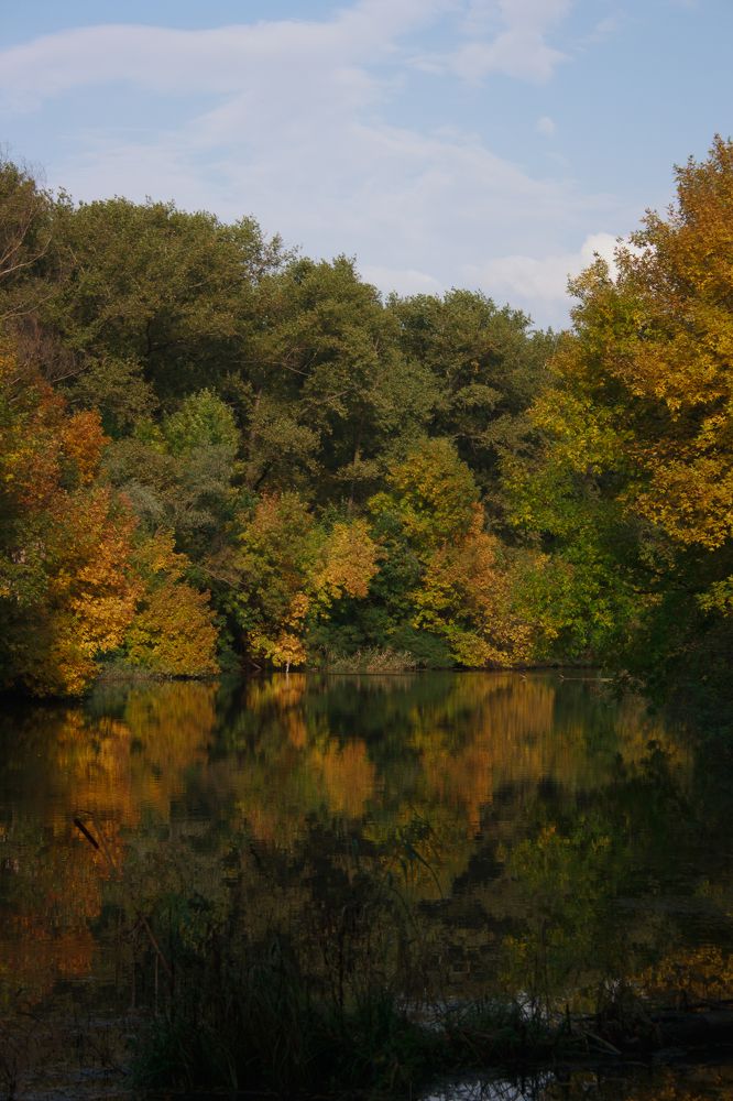 Photograph by Нелли Золотая